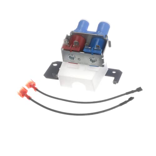 Angled view of the dual water inlet valve assembly, showing the blue water outlets and the red/blue solenoids mounted on top.