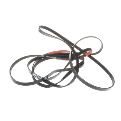 The coiled belt assembly laid out on a white grid background for scale reference.